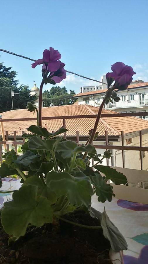 Casa Vacanza Xenia Agerola Exteriör bild