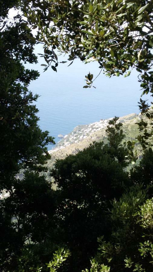 Casa Vacanza Xenia Agerola Exteriör bild
